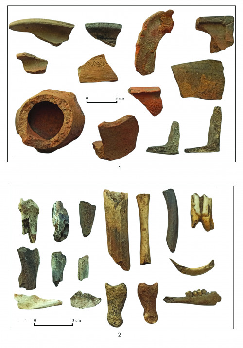 Fig. 2. Târgu Neamț - La Damian:1, ceramică; 2, resturi arheozoologice.